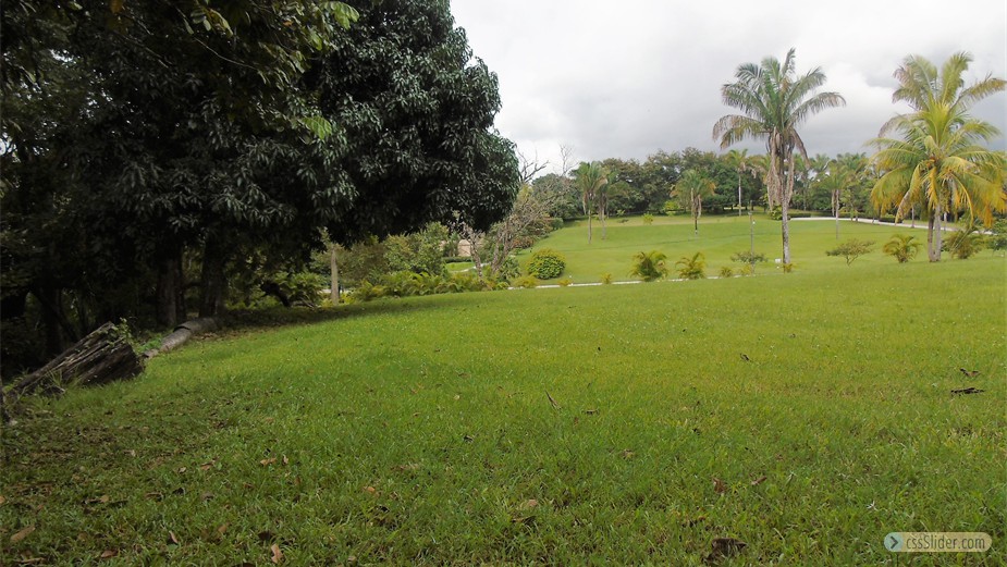 terrain_1600m2_carrillo_costa_rica_5