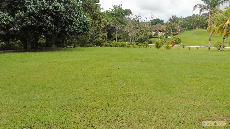 terrain_1600m2_carrillo_costa_rica_6