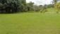 terrain_1600m2_carrillo_costa_rica_6