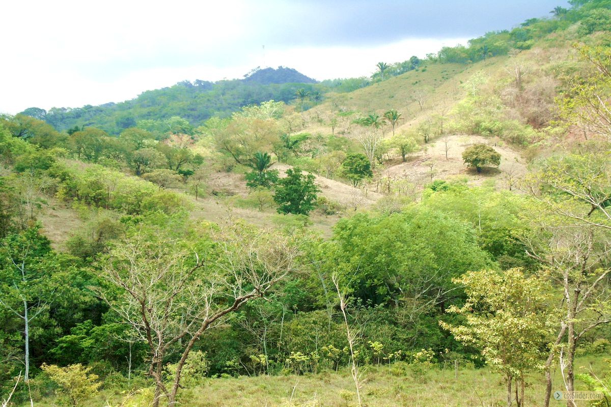 terrain_1ha_2_samara_costa_rica_6copy