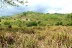 terrain_1ha_2_samara_costa_rica_2copy
