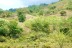 terrain_1ha_2_samara_costa_rica_3copy