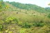 terrain_1ha_2_samara_costa_rica_5copy