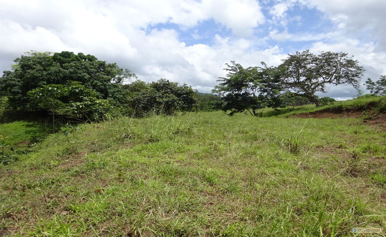 terrain_385m2_samara_costa_rica_2