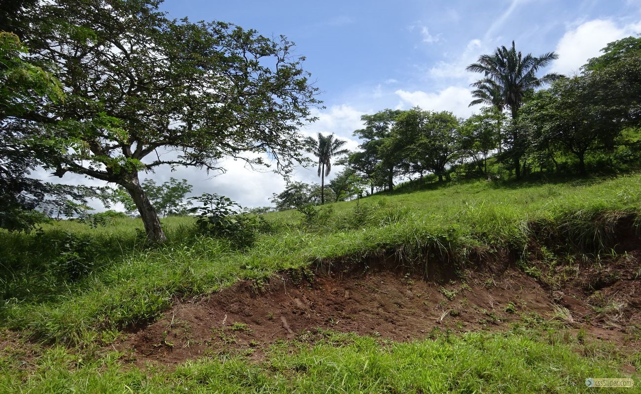 terrain_385m2_samara_costa_rica_3