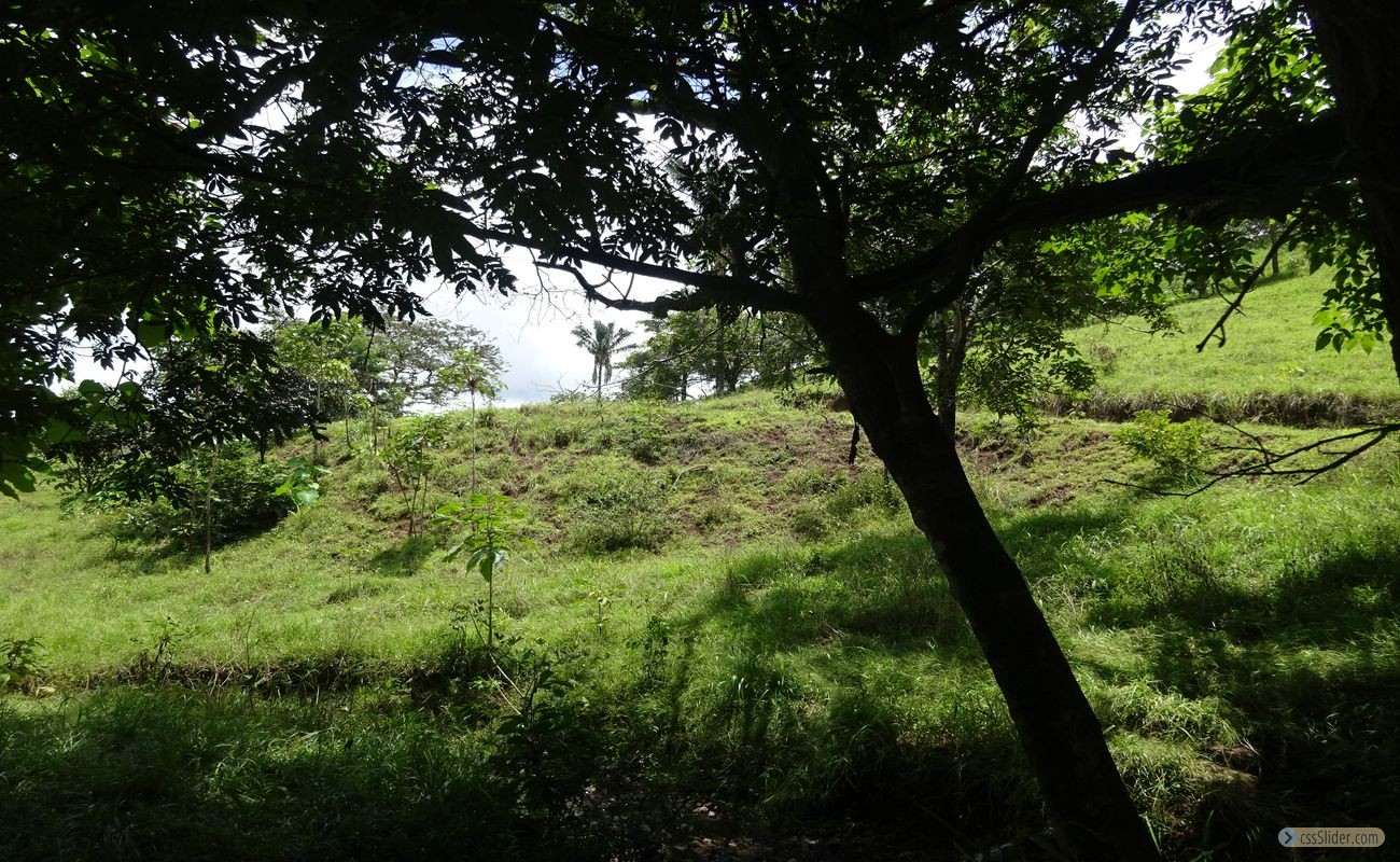terrain_385m2_samara_costa_rica_4