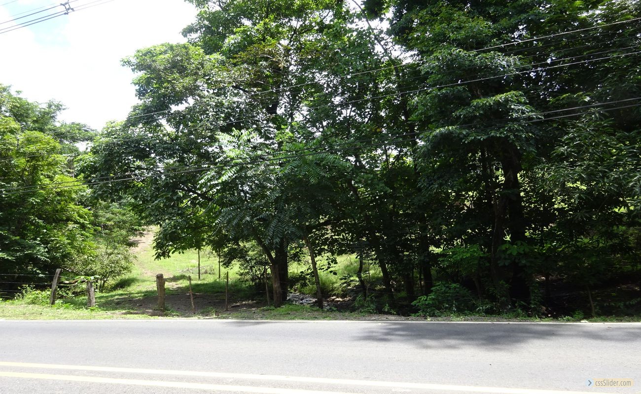 terrain_385m2_samara_costa_rica_6