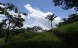 terrain_385m2_samara_costa_rica_1